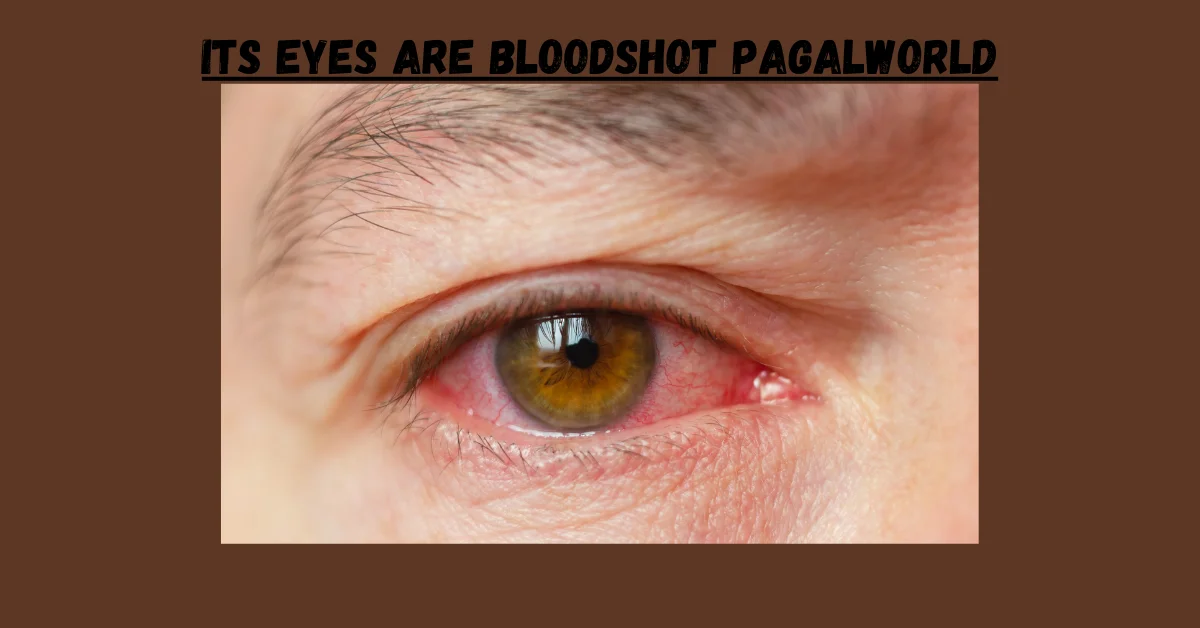Its Eyes Are Bloodshot Pagalworld